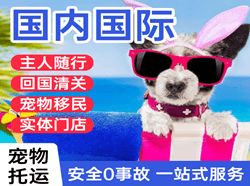 桃仙机场快递国际宠物托运 【国